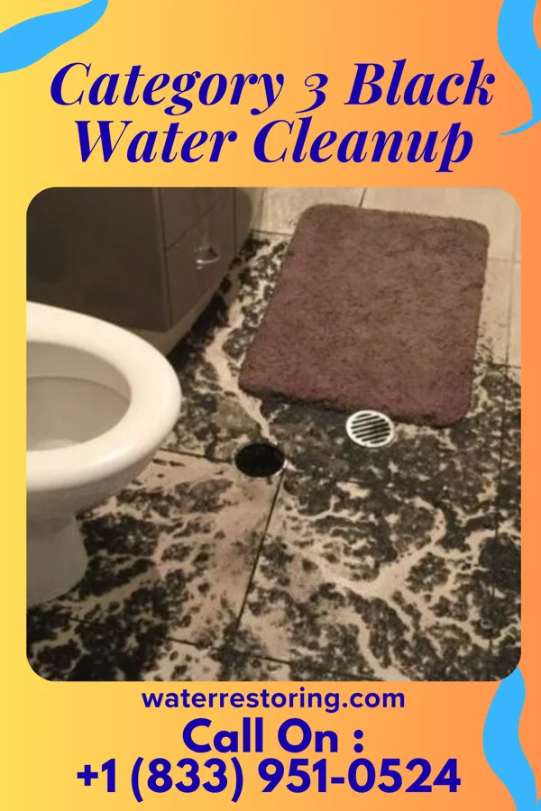 Category 3 Black Water Cleanup in Passapatanzy, VA