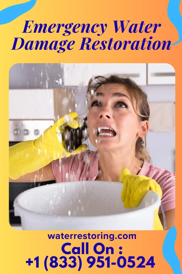 Emergency Water Damage Restoration in Passapatanzy, VA