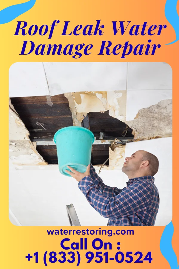 Roof Leak Water Damage Repair in Passapatanzy, VA